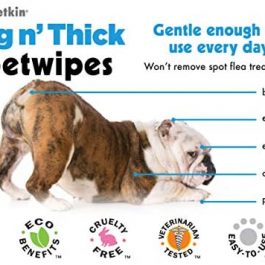 Petkin Big N’ Thick Petwipes 100 ct : Pet Supplies