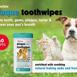 Petkin Plaque Toothwipes, Fresh Mint, 40 Wipes – Natural Formula Cleans Teeth, Gums & Freshens