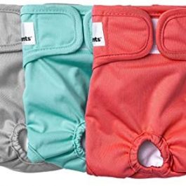 Washable Dog Diapers (3pack) Doggie Diapers