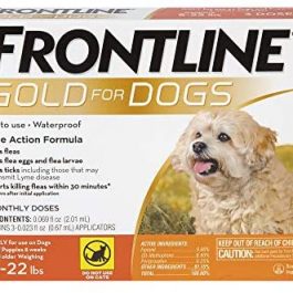 FRONTLINE Gold for Dogs Flea 5-22 lbs, 3ct